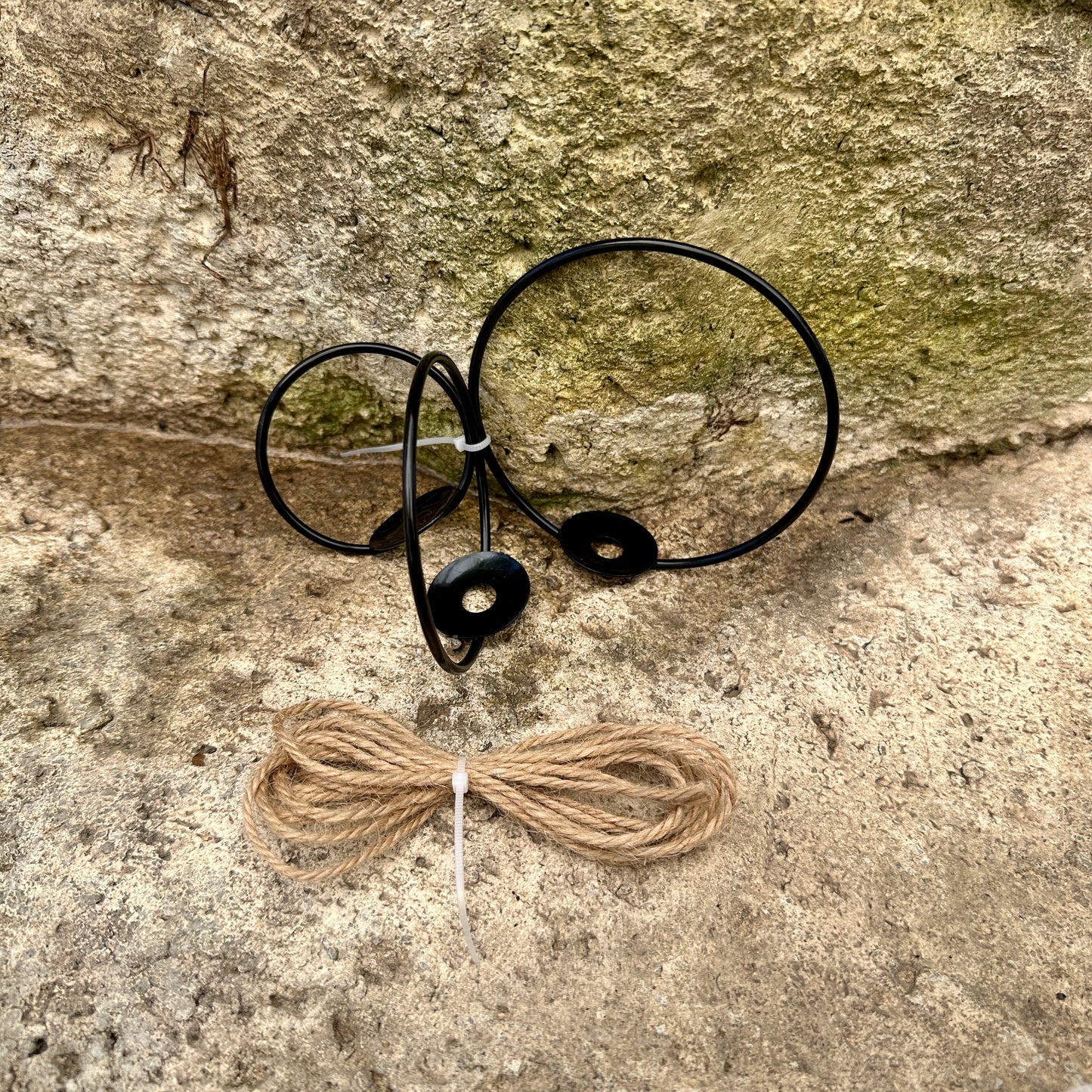 3-Pack 2-3” Tillandsia Hanging Rings | Air Plant Holders with Rope (Black Metal)