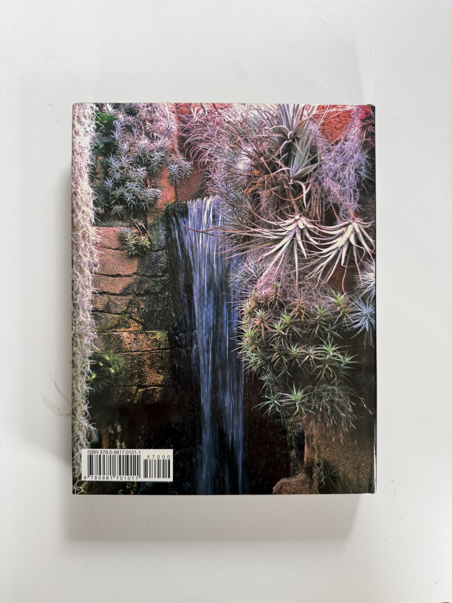 Back cover of Tillandsia II, by Paul T. Isley III - Rainforest Flora