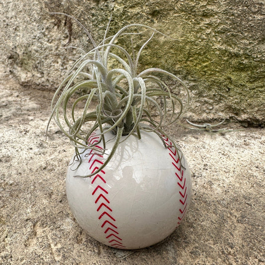 Ceramic Sports Ball Air Plant Holder – Baseball, Basketball, Golf Ball & Soccer Ball (Live Tillandsia Included) - Rainforest Flora