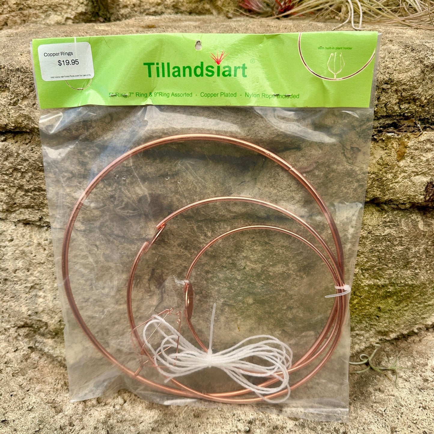Copper-Plated Tillandsia Holder Set – 5", 7", 9" Hanging Air Plant Rings with Nylon Rope - Rainforest Flora