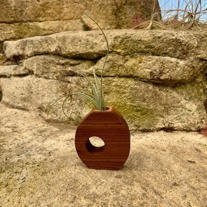 Boyce Studio Original Wood Air Plant Holder