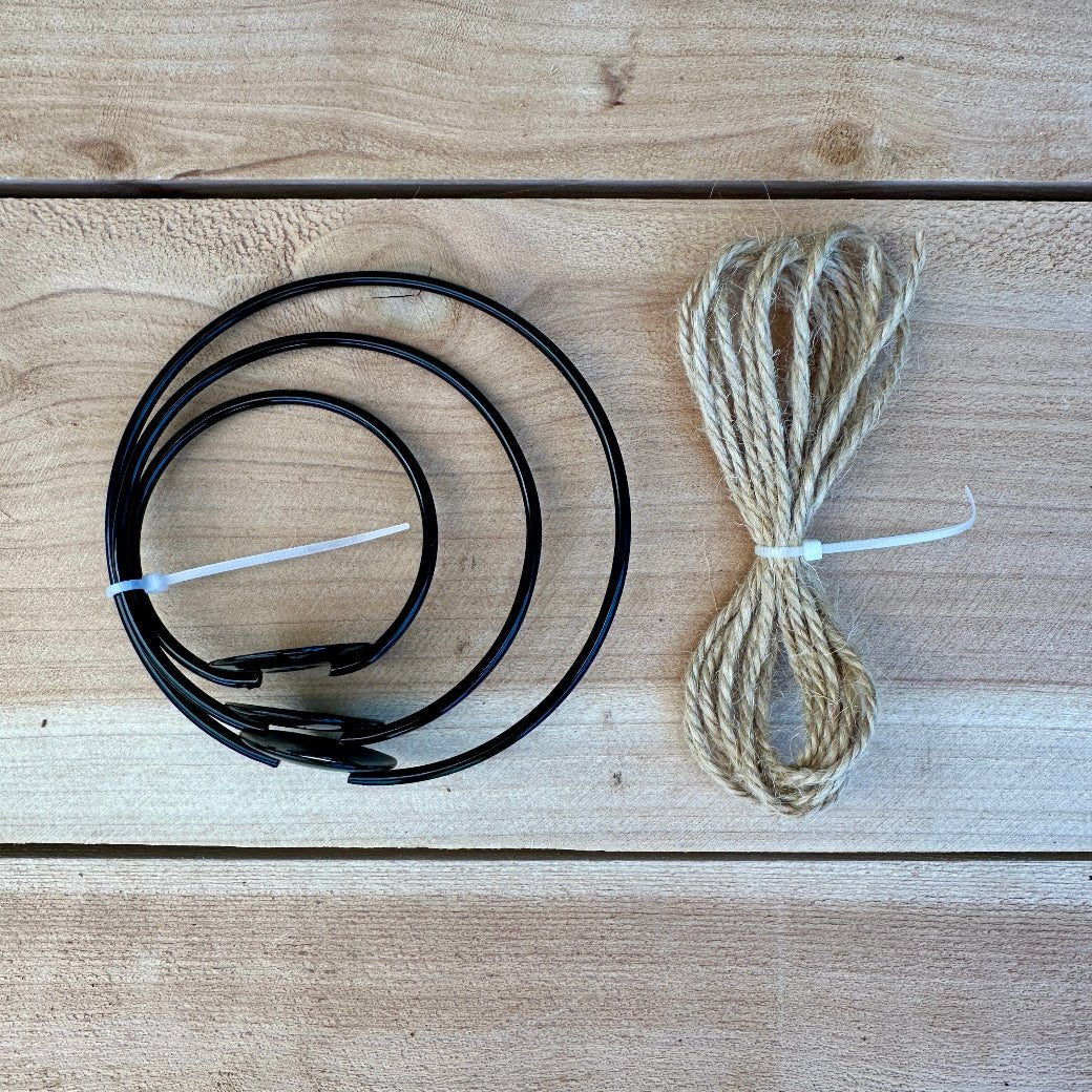 3-Pack 2-3” Tillandsia Hanging Rings | Air Plant Holders with Rope (Black Metal) - Rainforest Flora