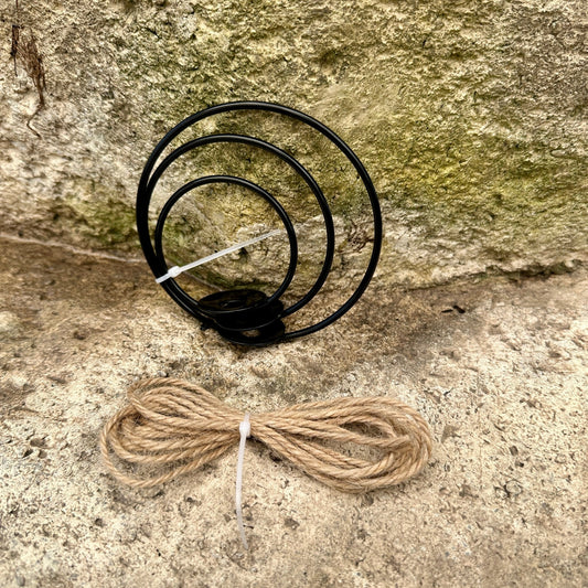3-Pack 2-3” Tillandsia Hanging Rings | Air Plant Holders with Rope (Black Metal) - Rainforest Flora