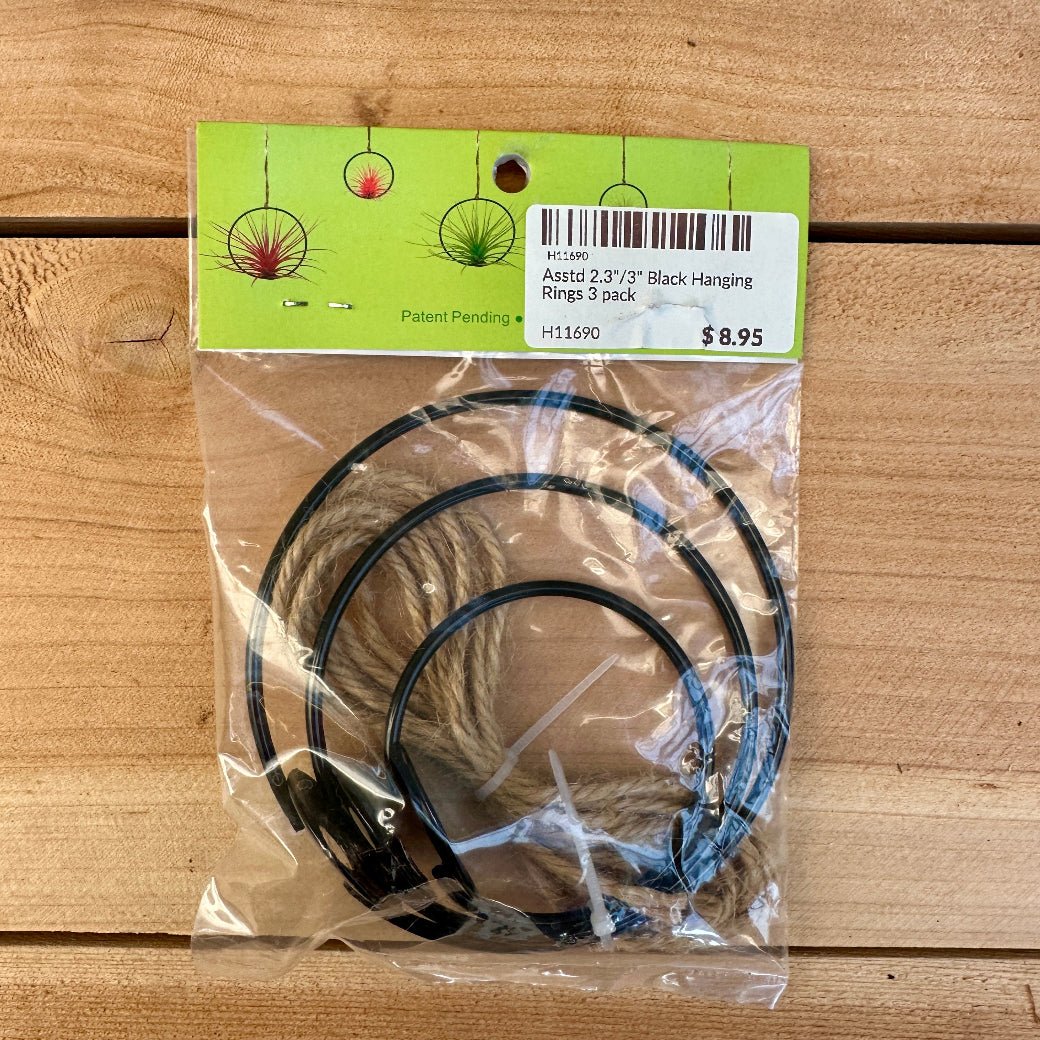 3-Pack 2-3” Tillandsia Hanging Rings | Air Plant Holders with Rope (Black Metal) - Rainforest Flora