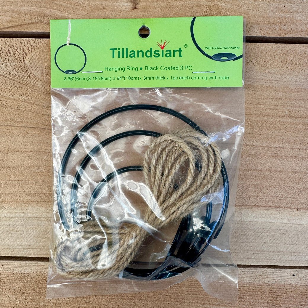 3-Pack 2-3” Tillandsia Hanging Rings | Air Plant Holders with Rope (Black Metal) - Rainforest Flora