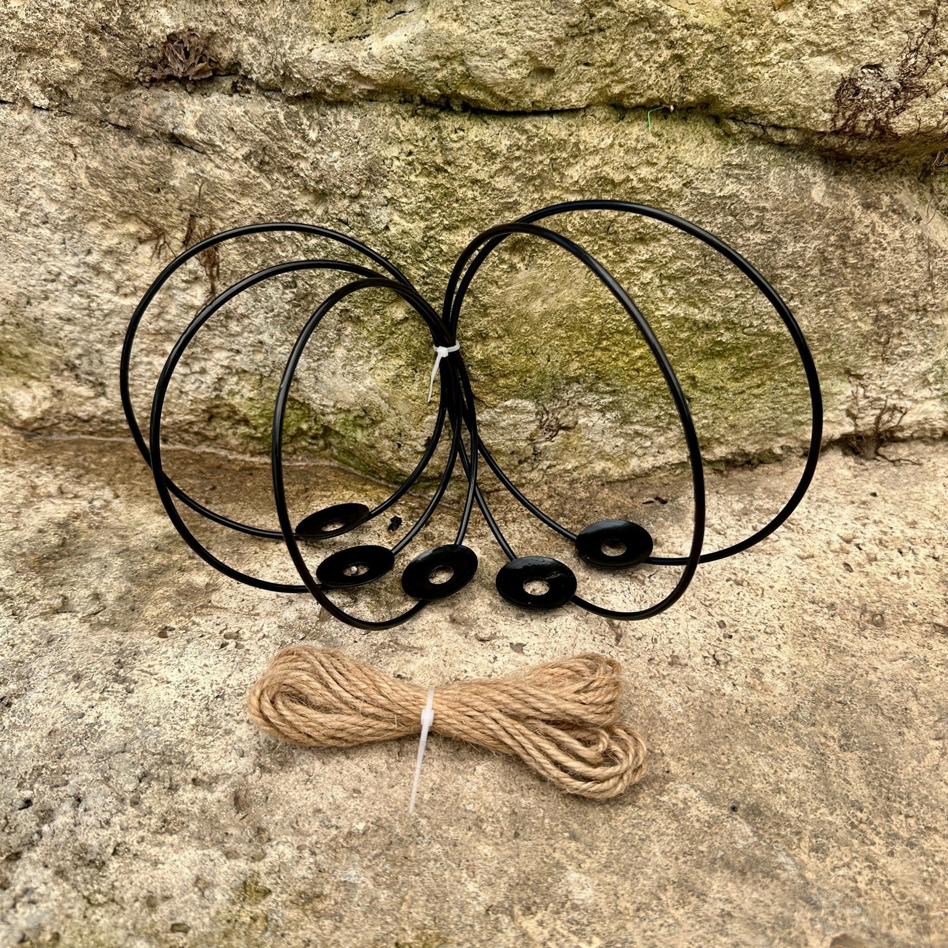 3-Pack 4-5” Tillandsia Hanging Rings | Air Plant Holders with Rope (Black Metal) - Rainforest Flora