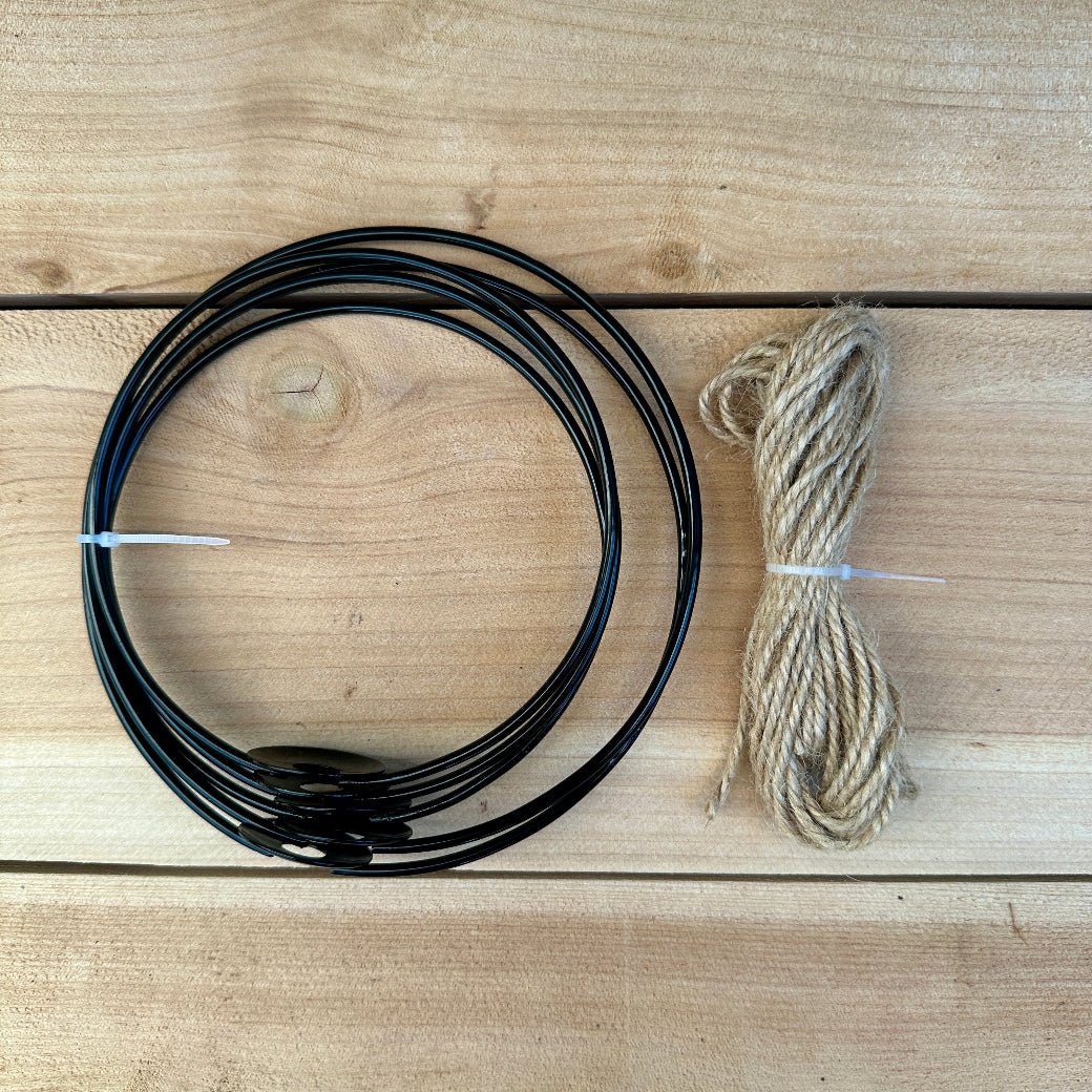 5-Pack 4-5” Tillandsia Hanging Rings | Air Plant Holders with Rope (Black Metal) - Rainforest Flora