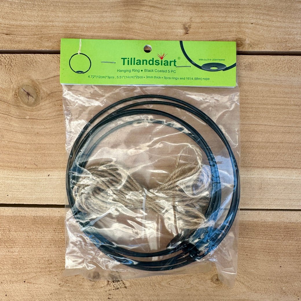 5-Pack 4-5” Tillandsia Hanging Rings | Air Plant Holders with Rope (Black Metal) - Rainforest Flora