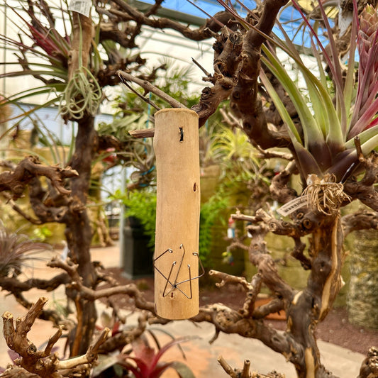 6” Wooden Tillandsia Holder with Metal Prong - Rainforest Flora
