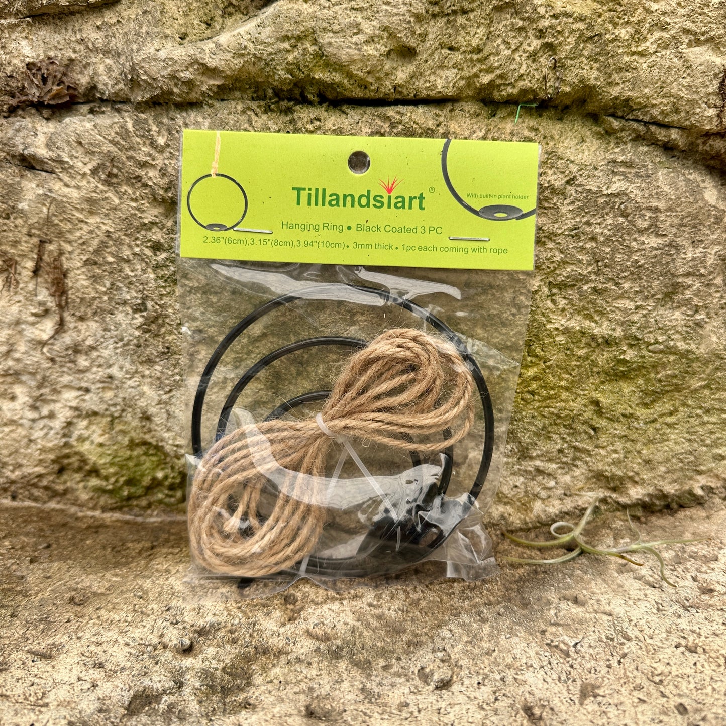 3-Pack 2-3” Tillandsia Hanging Rings | Air Plant Holders with Rope (Black Metal)
