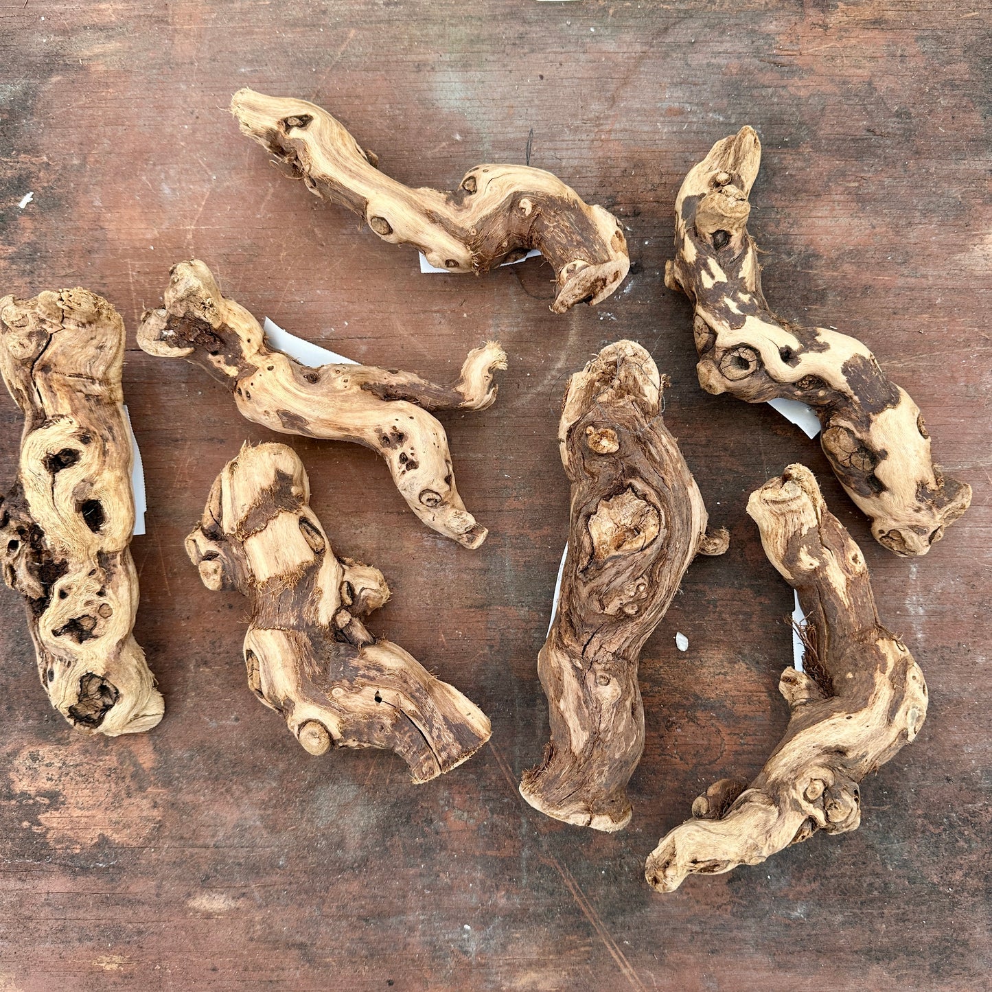 Natural California Grapewood - Multiple Sizes