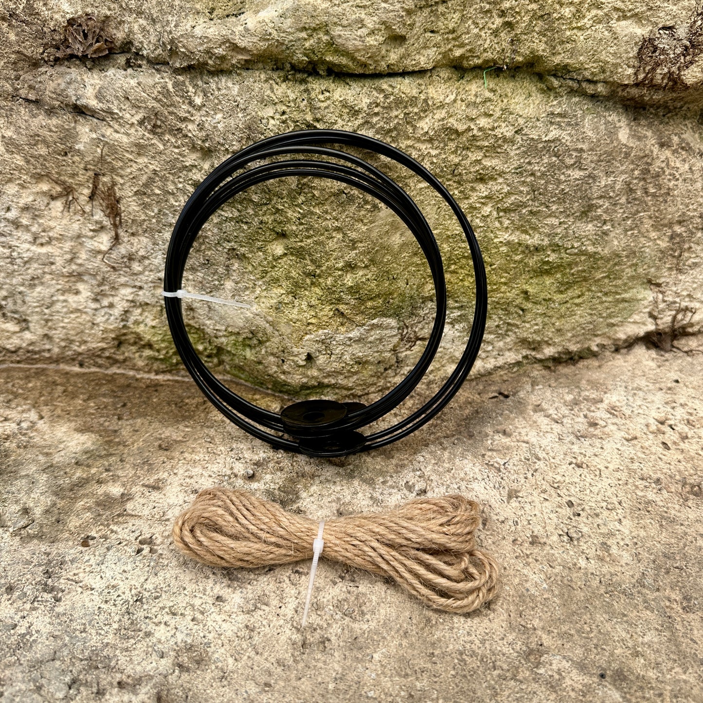 3-Pack 4-5” Tillandsia Hanging Rings | Air Plant Holders with Rope (Black Metal)