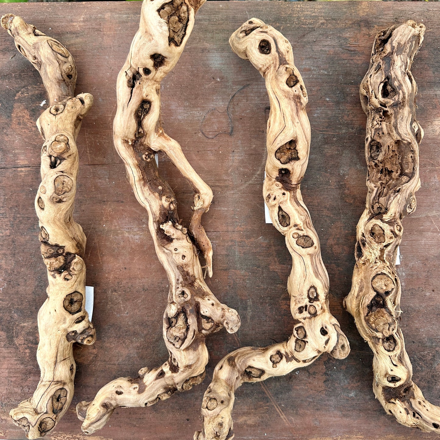 Natural California Grapewood - Multiple Sizes