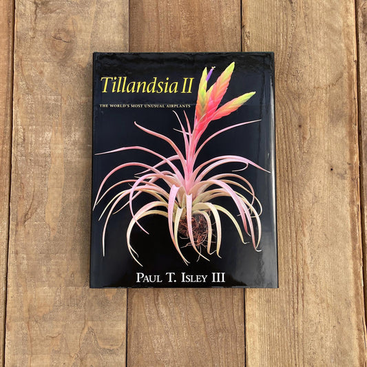 Tillandsia II, by Paul T. Isley III
