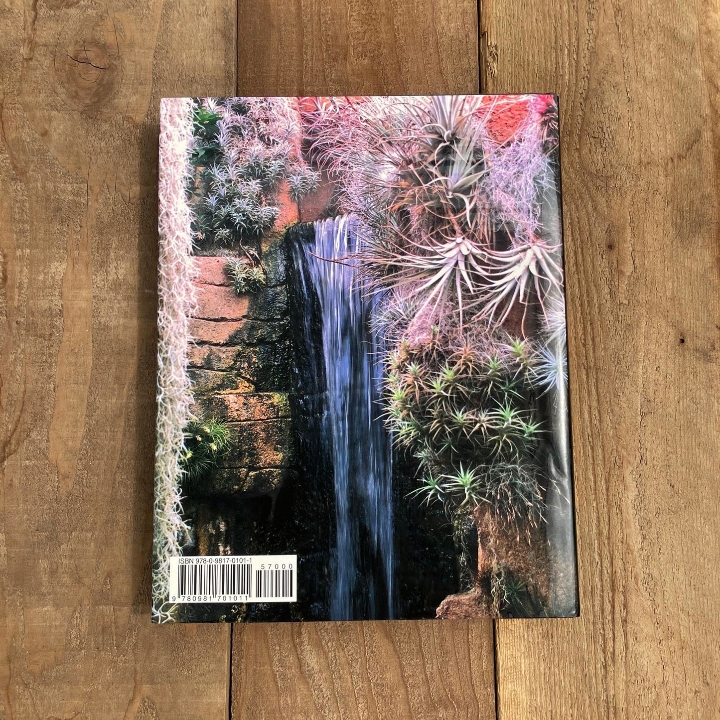 Tillandsia II, by Paul T. Isley III