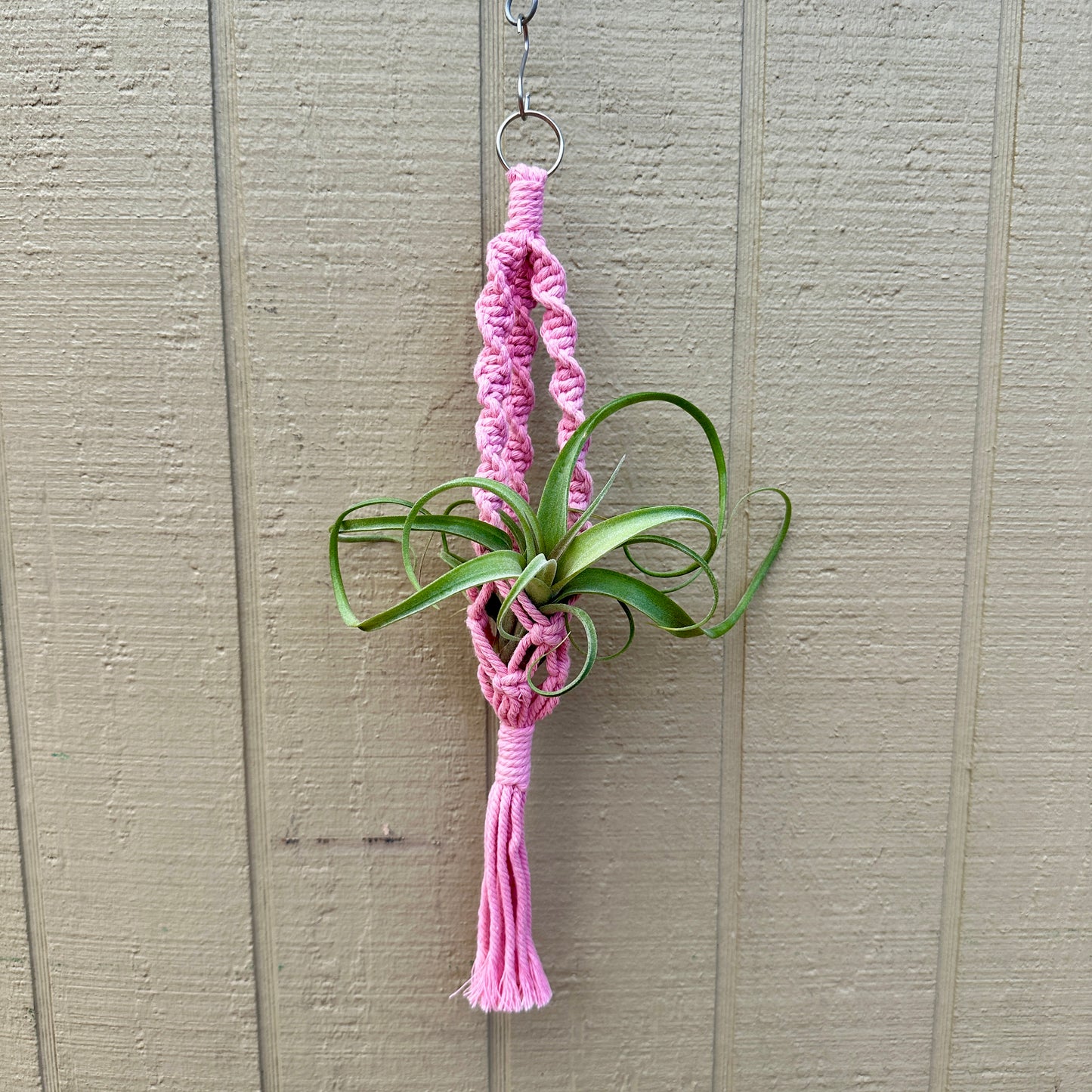 Pink macrame tillandsia holder with metal ring, 8 inches long