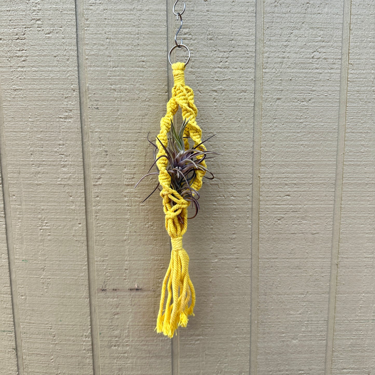 Yellow macrame tillandsia holder with metal ring, 8 inches long