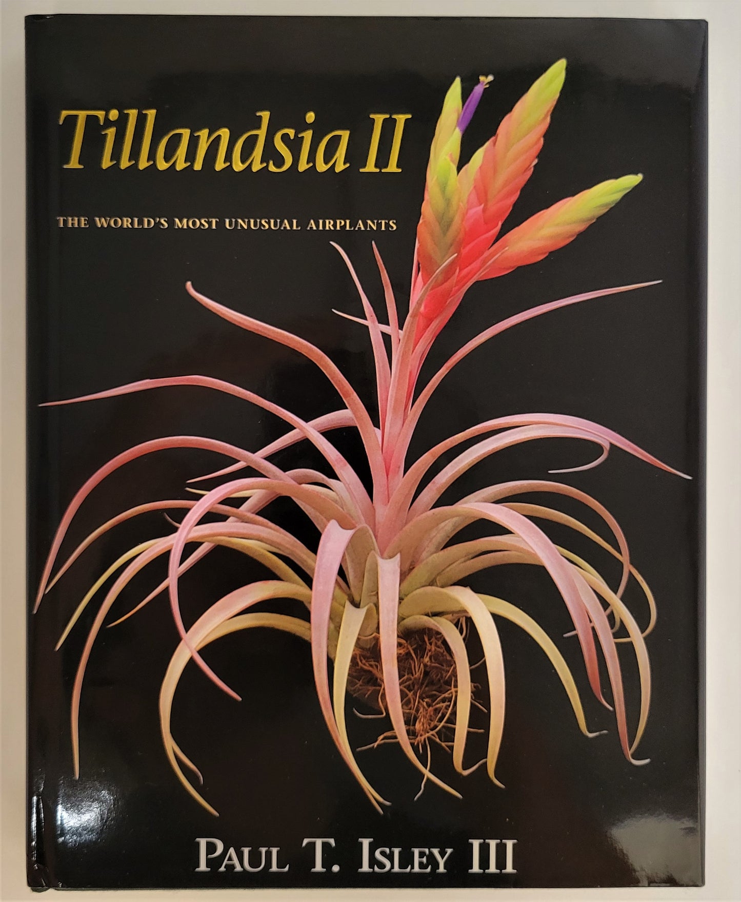 Tillandsia II, by Paul T. Isley III