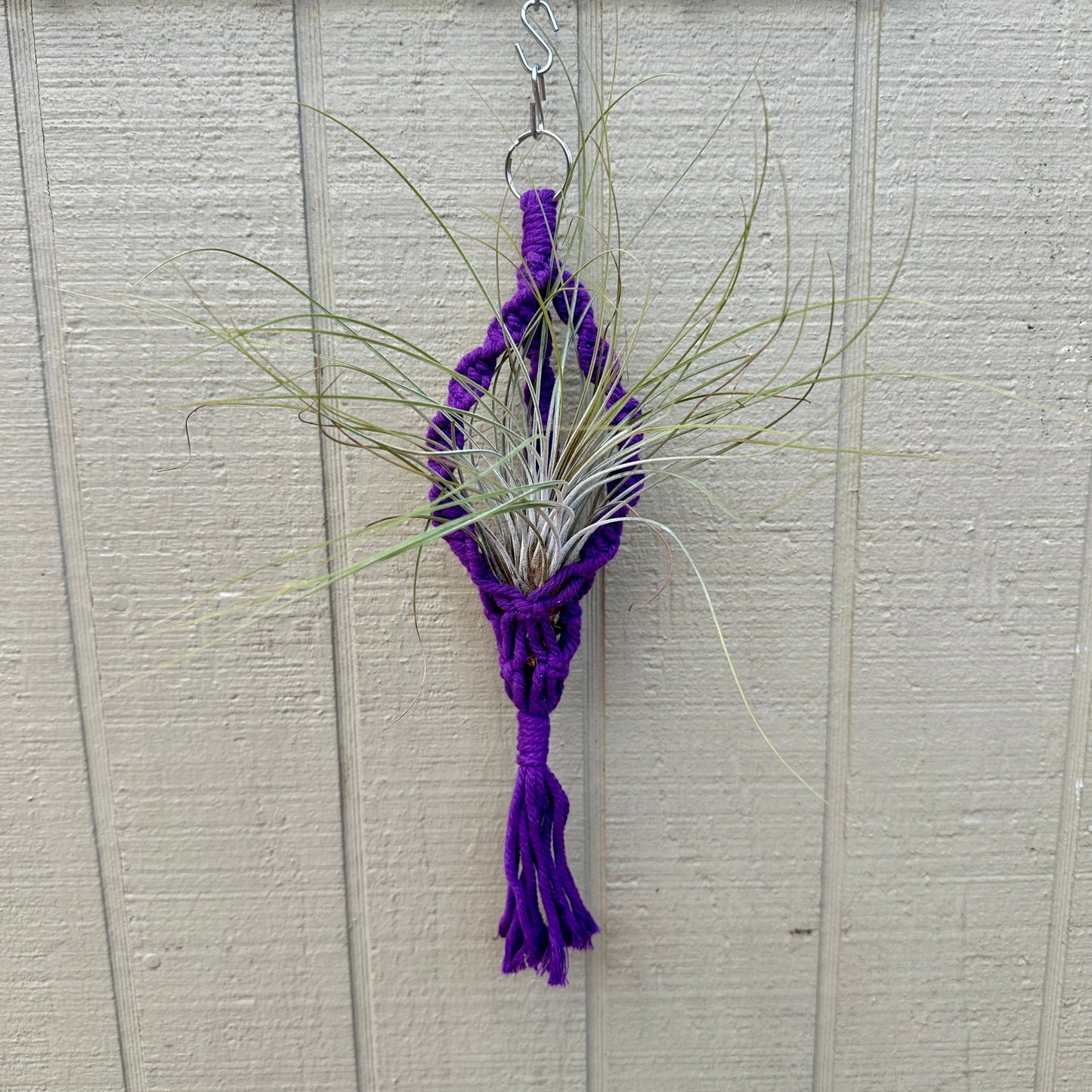 Boho Macrame Tillandsia Plant Holder – Hanging Air Plant Display (6 Rainbow Colors) - Rainforest Flora