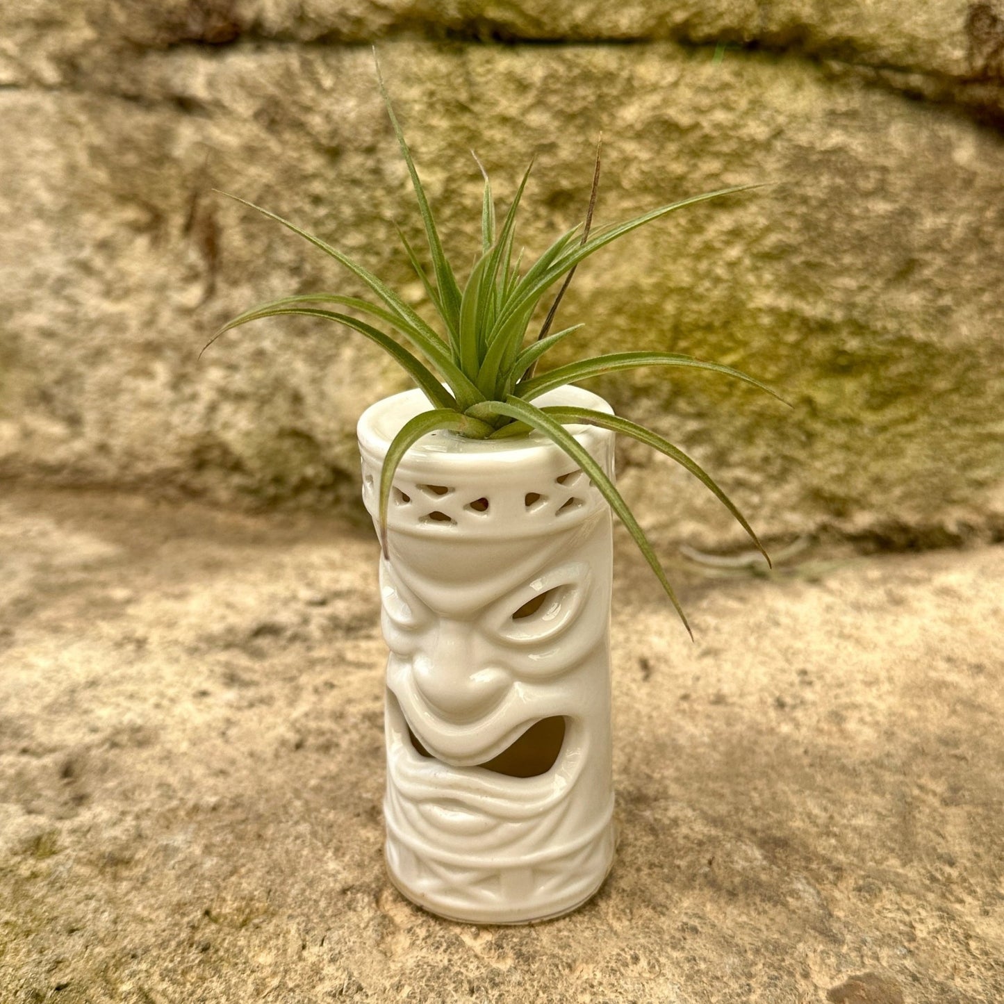 Ceramic Tiki Air Plant Holder – 4" Tillandsia Display in Black, Orange, White & Yellow - Rainforest Flora