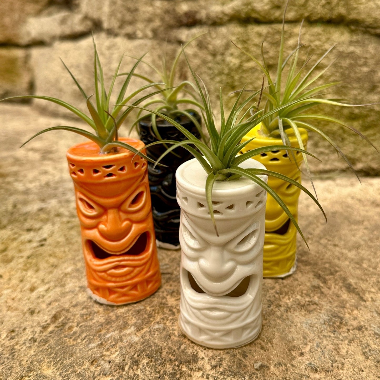 Ceramic Tiki Air Plant Holder – 4" Tillandsia Display in Black, Orange, White & Yellow - Rainforest Flora