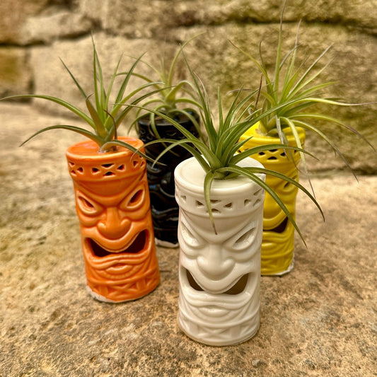 Ceramic Tiki Air Plant Holder – 4" Tillandsia Display in Black, Orange, White & Yellow - Rainforest Flora
