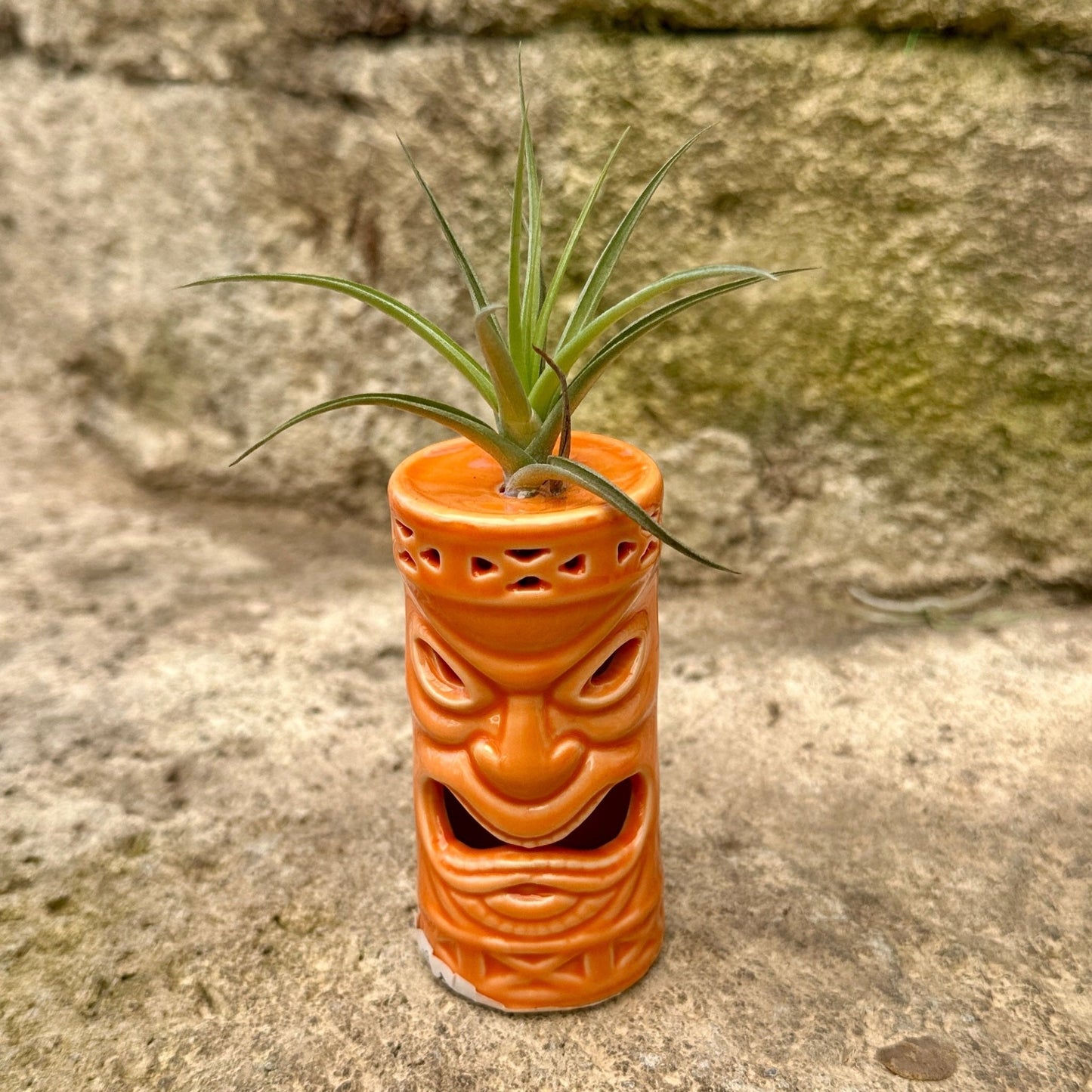 Ceramic Tiki Air Plant Holder – 4" Tillandsia Display in Black, Orange, White & Yellow - Rainforest Flora