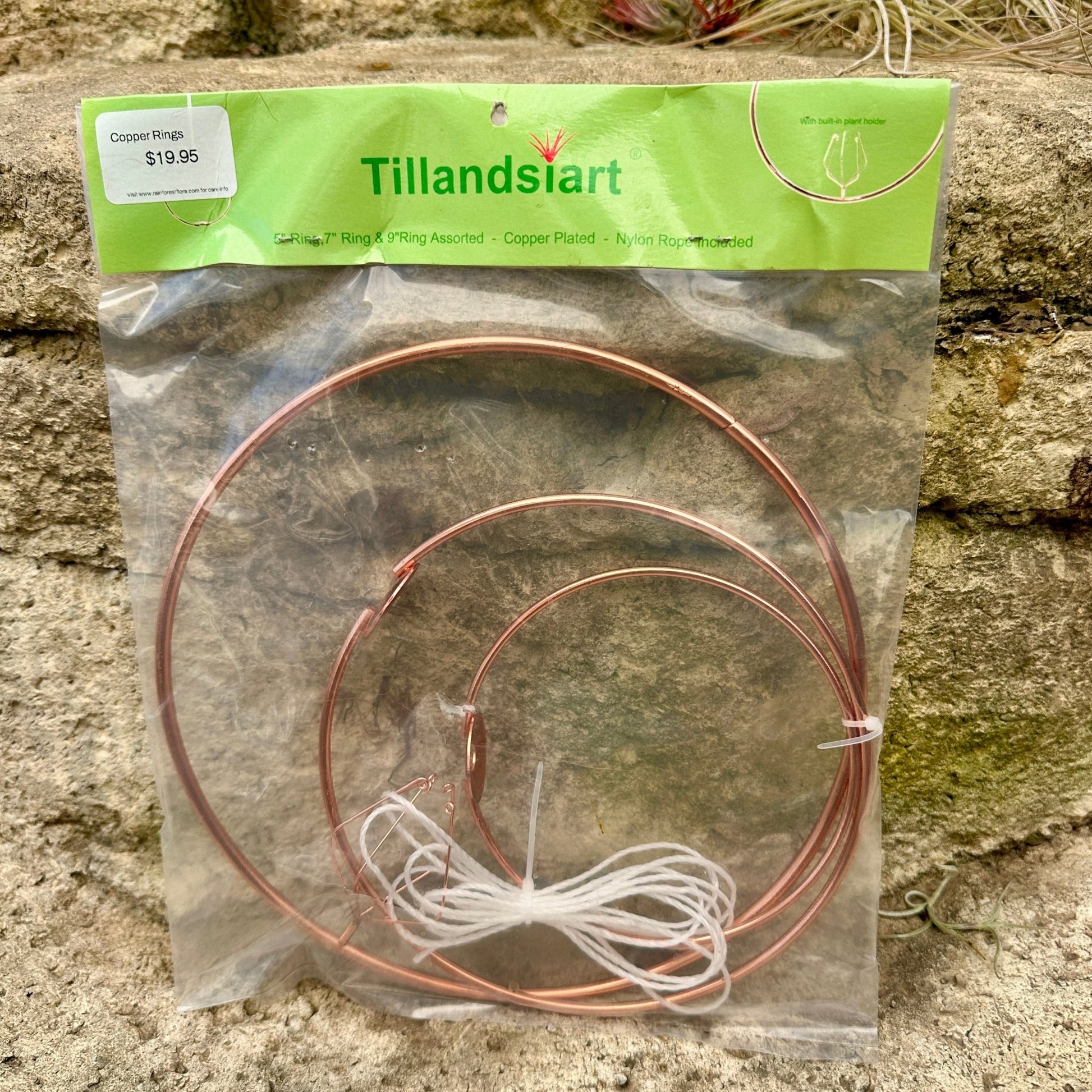 Copper-Plated Tillandsia Holder Set – 5", 7", 9" Hanging Air Plant Rings with Nylon Rope - Rainforest Flora