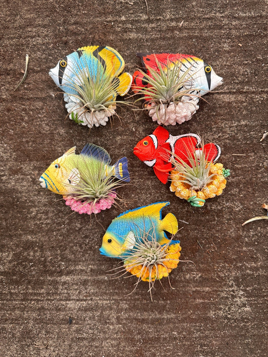 Fish Magnets, Set of 5 - Rainforest Flora