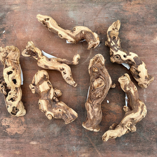 Natural California Grapewood - Multiple Sizes - Rainforest Flora