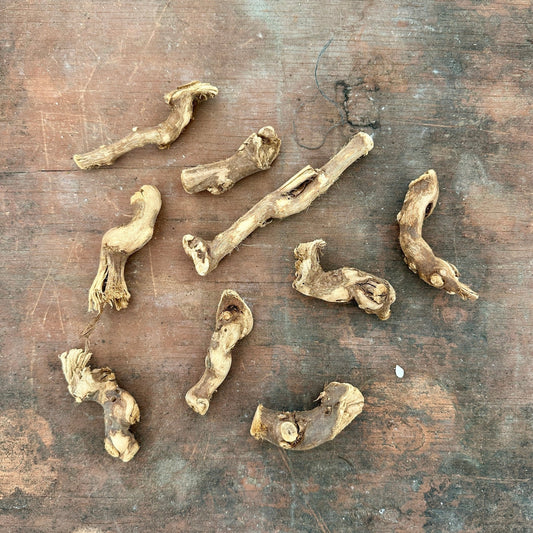 Natural California Grapewood - Multiple Sizes - Rainforest Flora