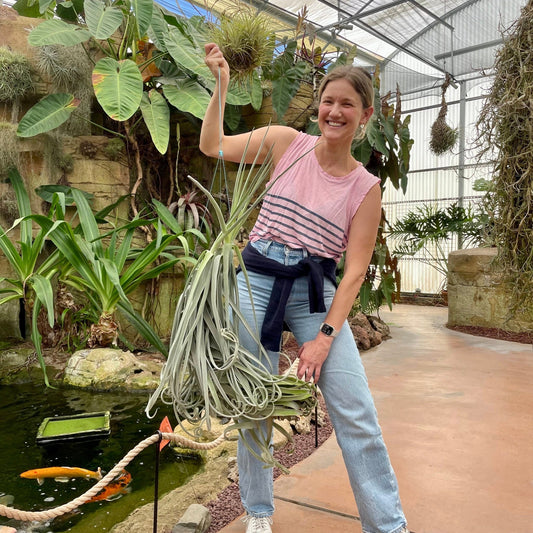 Specimen 4, One Available - Rainforest Flora