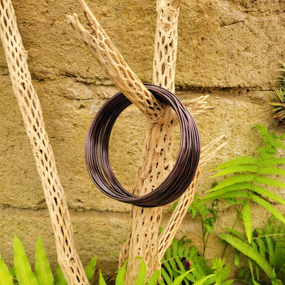 wire for air plants Tillandsia Airplant Wire – Rainforest Flora