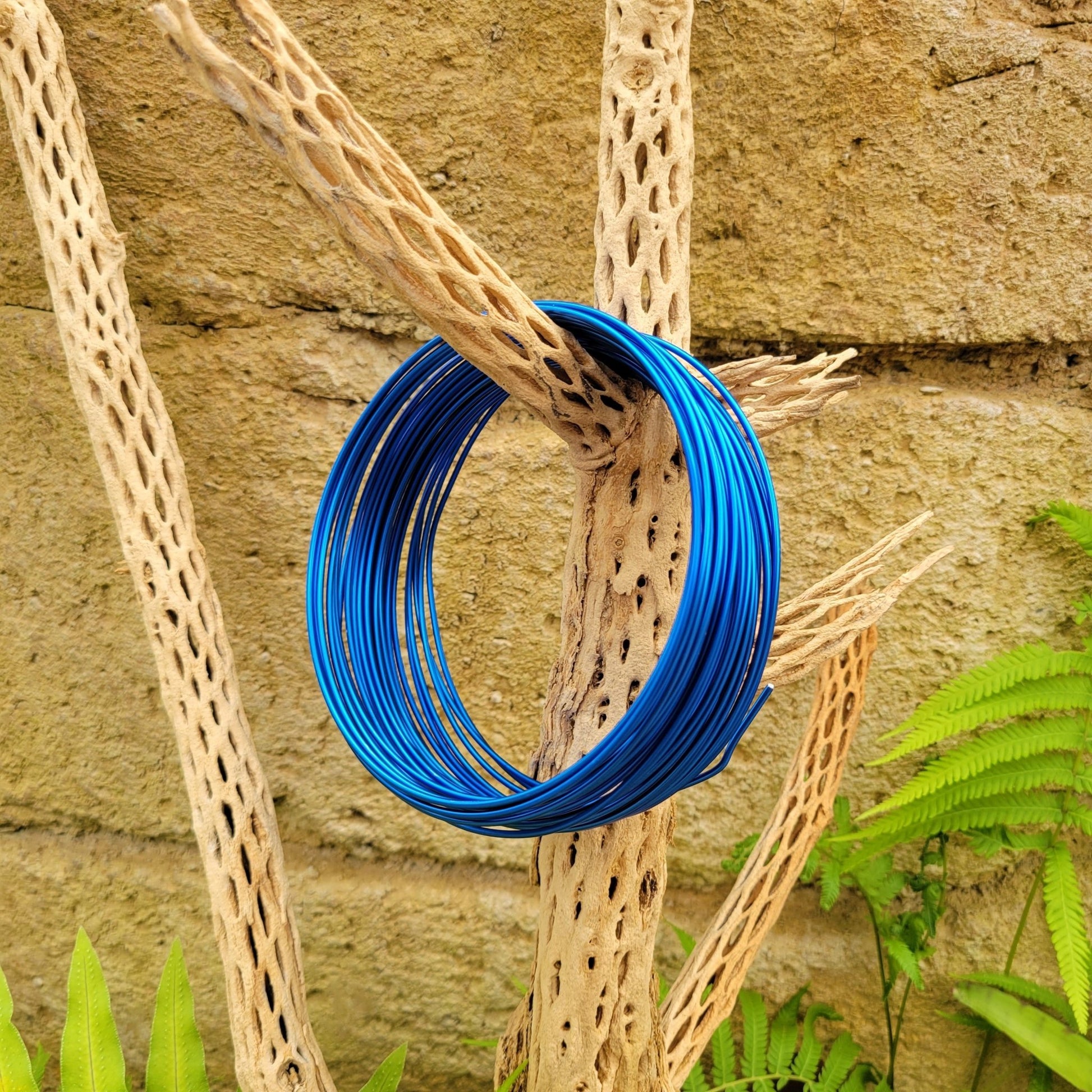 air plant wire frame Tillandsia Airplant Wire – Rainforest Flora