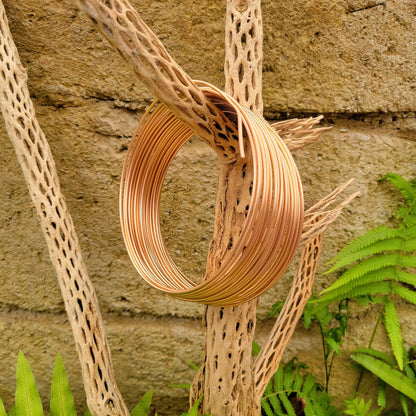 chicken wire air plant Tillandsia Airplant Wire – Rainforest Flora