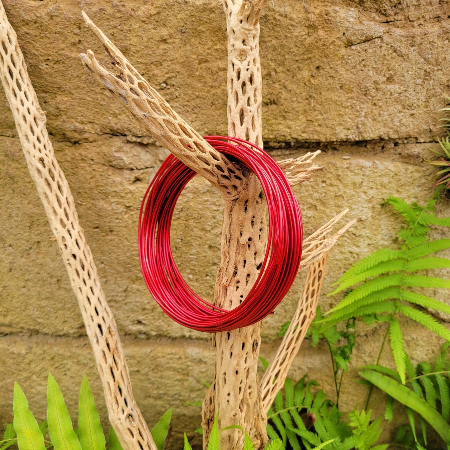 Tillandsia Airplant Wire - Rainforest Flora