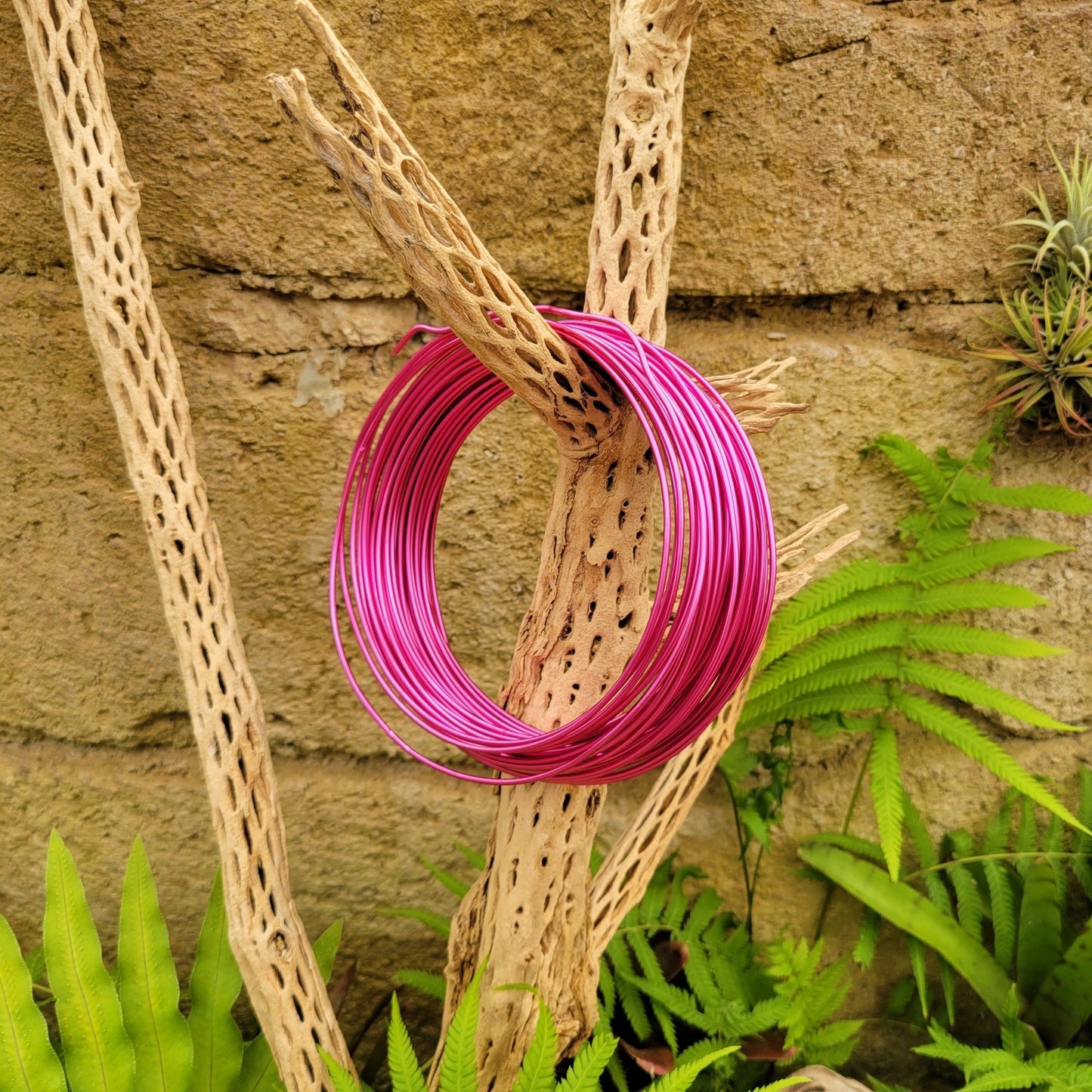 Tillandsia Airplant Wire - Rainforest Flora