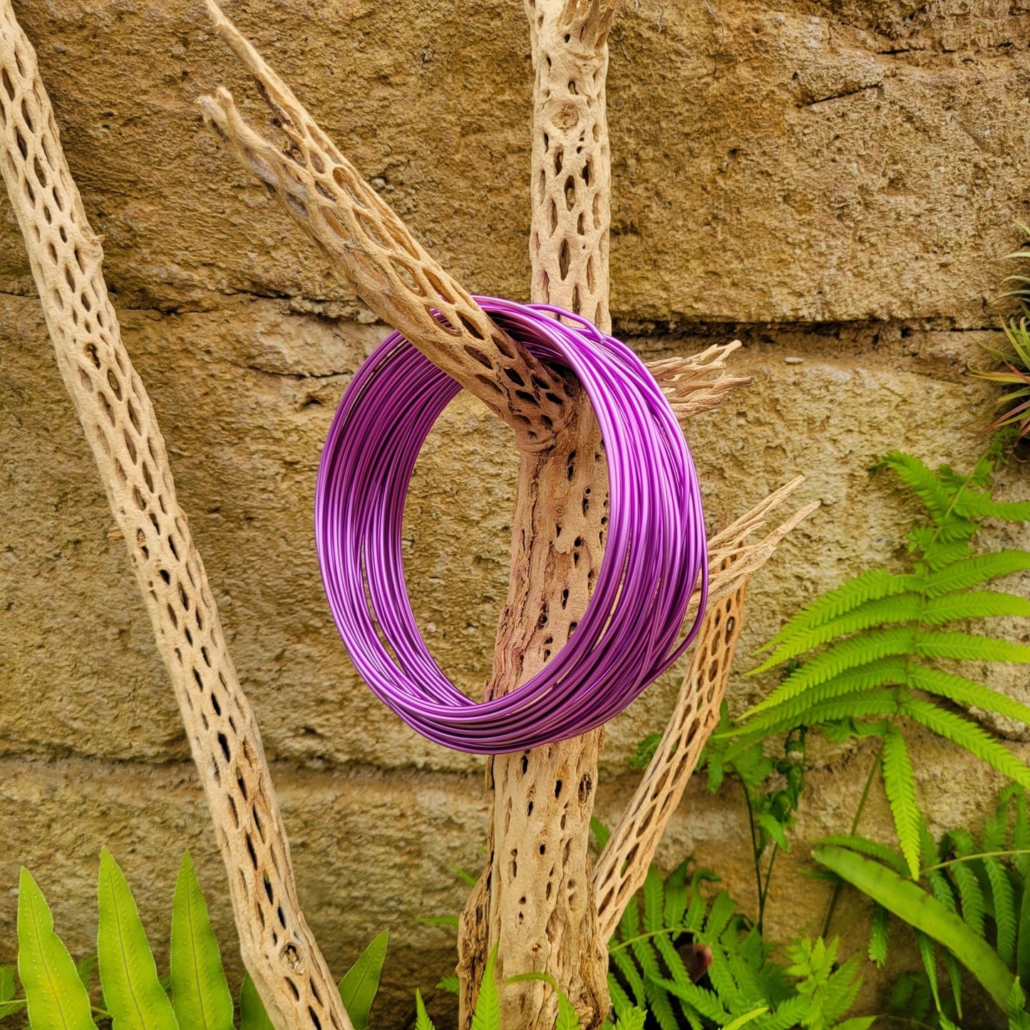 Tillandsia Airplant Wire - Rainforest Flora