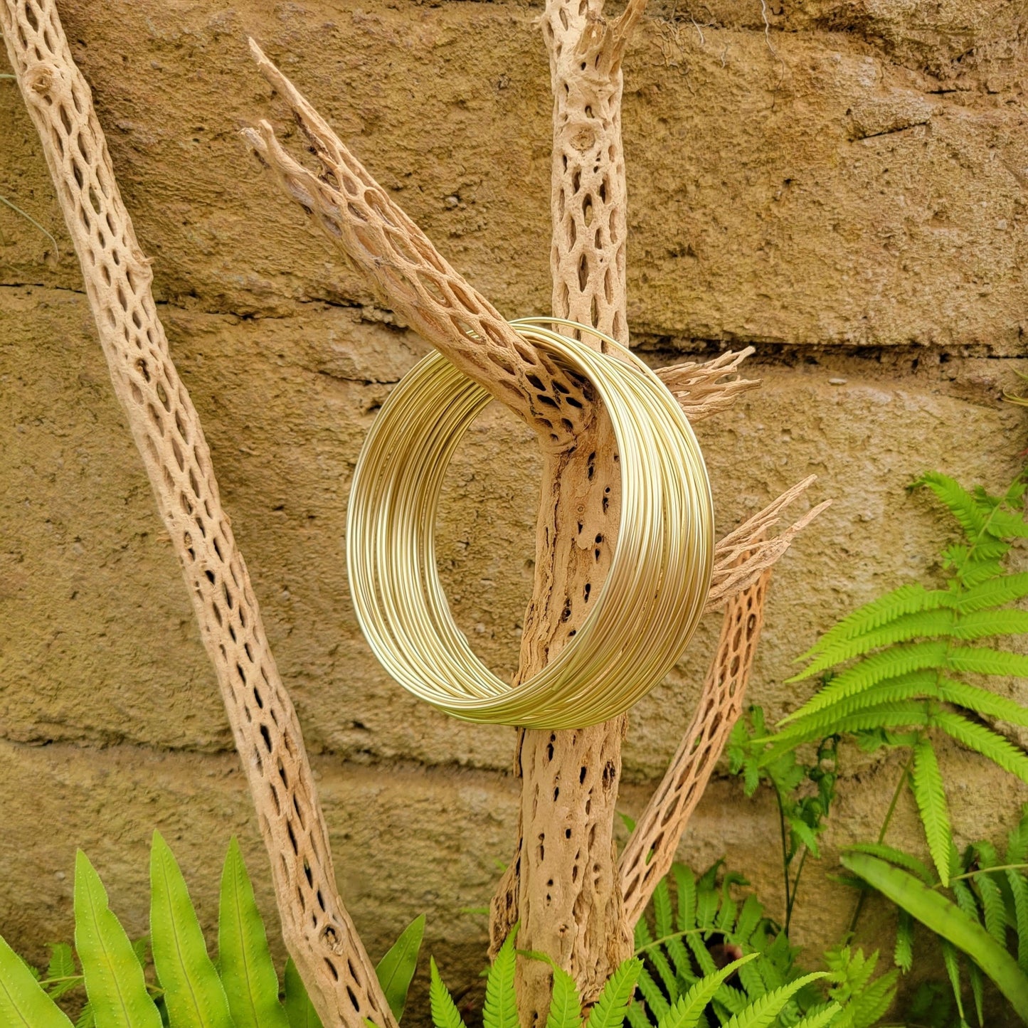 Tillandsia Airplant Wire - Rainforest Flora