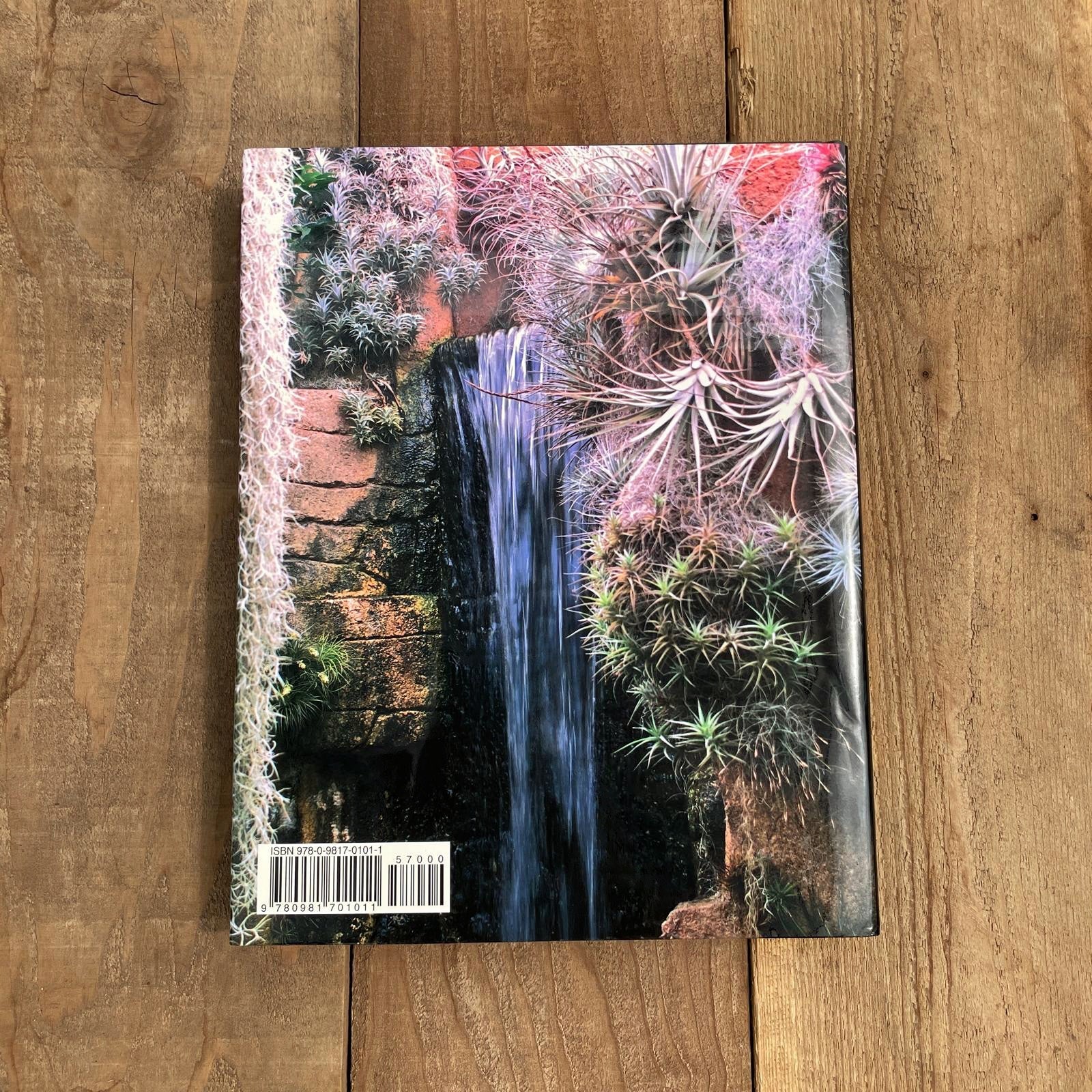Tillandsia II, by Paul T. Isley III - Rainforest Flora