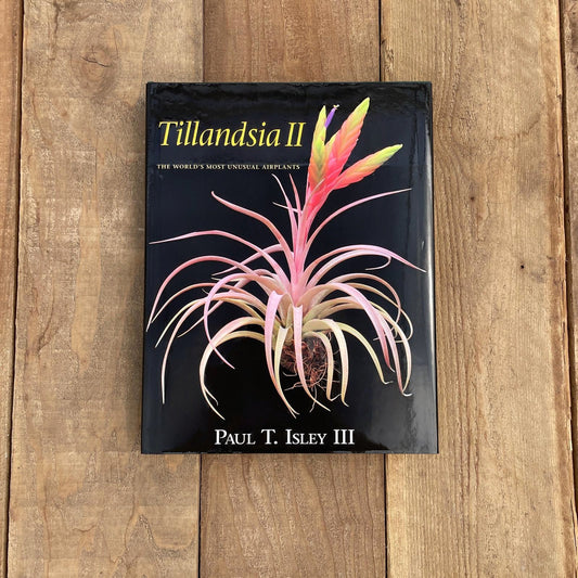 Tillandsia II, by Paul T. Isley III - Rainforest Flora